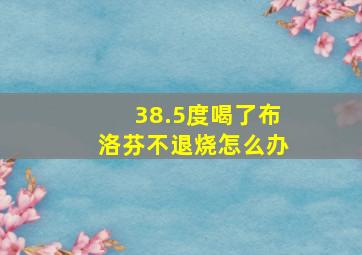 38.5度喝了布洛芬不退烧怎么办