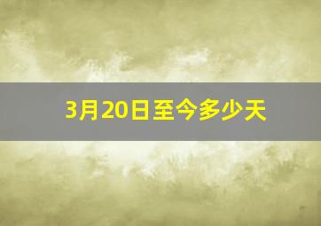 3月20日至今多少天