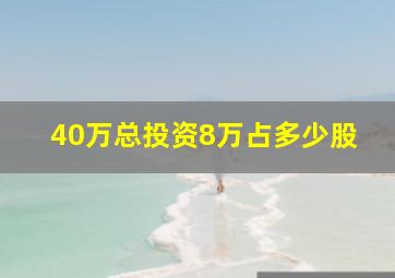 40万总投资8万占多少股