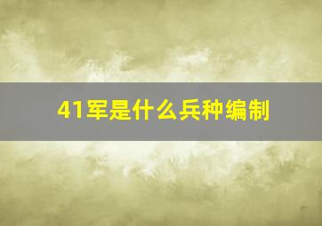 41军是什么兵种编制