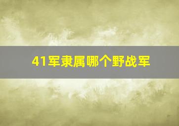 41军隶属哪个野战军