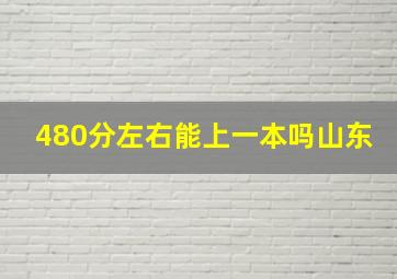 480分左右能上一本吗山东