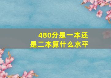 480分是一本还是二本算什么水平