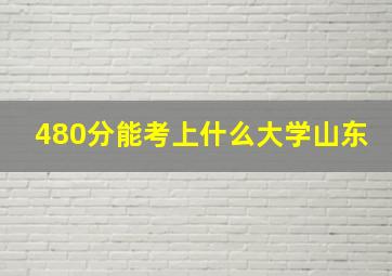 480分能考上什么大学山东