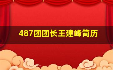 487团团长王建峰简历