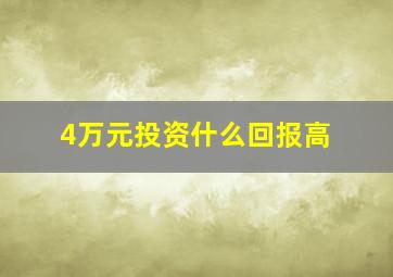 4万元投资什么回报高