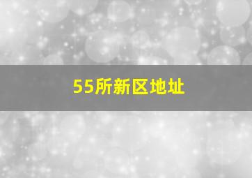 55所新区地址