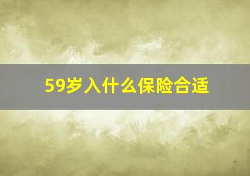 59岁入什么保险合适