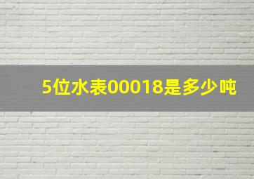 5位水表00018是多少吨