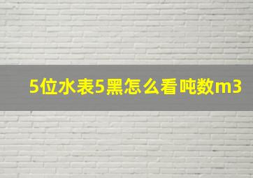 5位水表5黑怎么看吨数m3