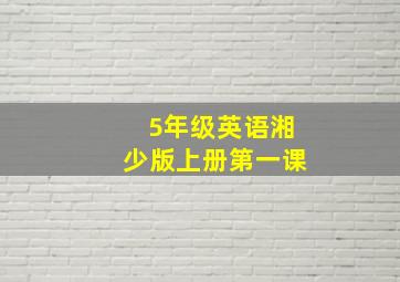 5年级英语湘少版上册第一课