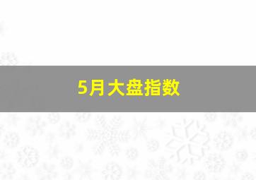 5月大盘指数