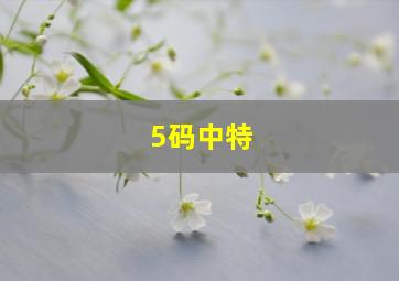 5码中特