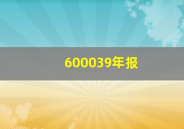 600039年报