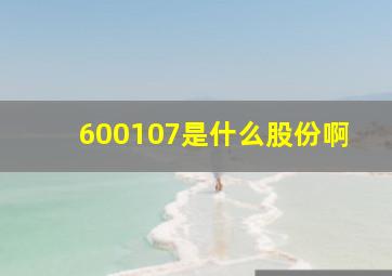 600107是什么股份啊