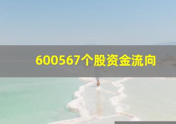 600567个股资金流向