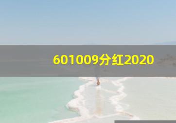 601009分红2020