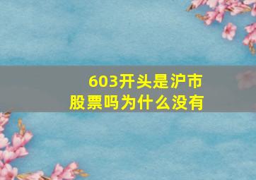 603开头是沪市股票吗为什么没有