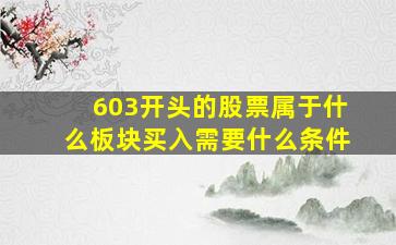 603开头的股票属于什么板块买入需要什么条件