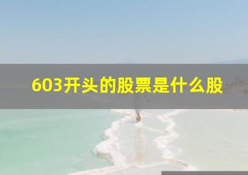 603开头的股票是什么股