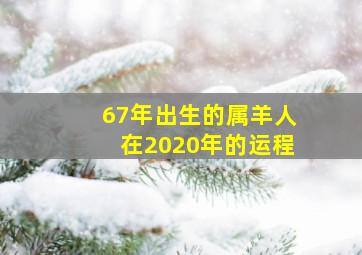 67年出生的属羊人在2020年的运程