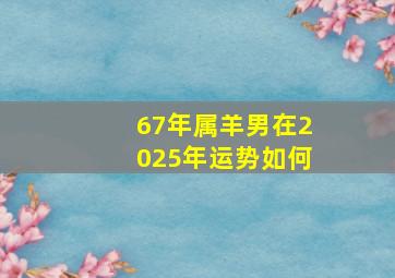 67年属羊男在2025年运势如何