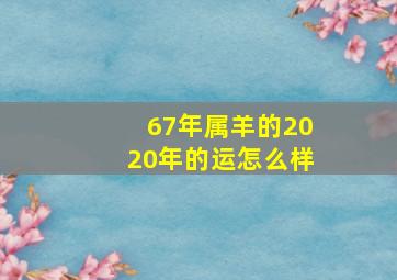 67年属羊的2020年的运怎么样