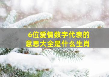 6位爱情数字代表的意思大全是什么生肖