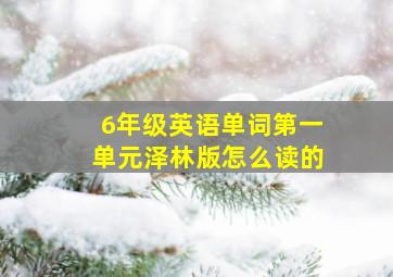 6年级英语单词第一单元泽林版怎么读的