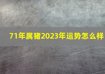 71年属猪2023年运势怎么样