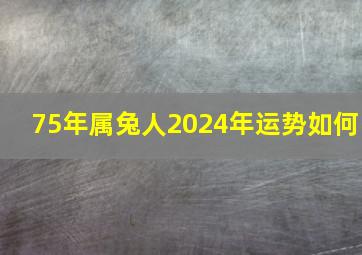 75年属兔人2024年运势如何