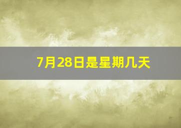 7月28日是星期几天