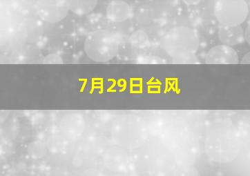 7月29日台风