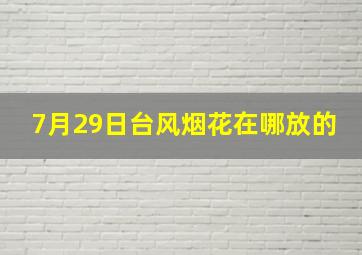 7月29日台风烟花在哪放的