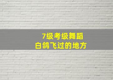 7级考级舞蹈白鸽飞过的地方