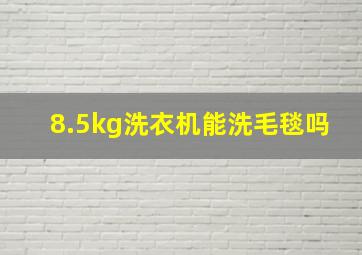 8.5kg洗衣机能洗毛毯吗