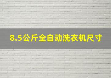 8.5公斤全自动洗衣机尺寸