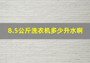 8.5公斤洗衣机多少升水啊