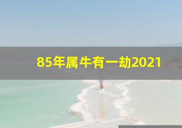 85年属牛有一劫2021