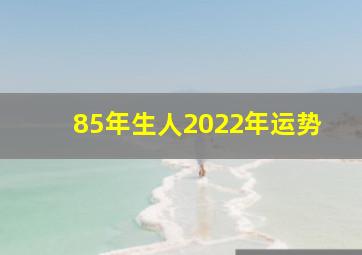 85年生人2022年运势