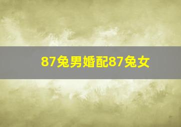 87兔男婚配87兔女