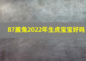 87属兔2022年生虎宝宝好吗