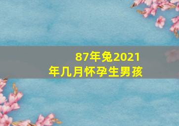 87年兔2021年几月怀孕生男孩