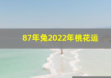 87年兔2022年桃花运