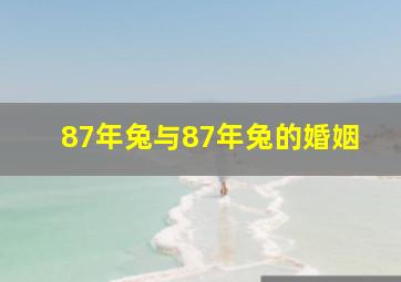 87年兔与87年兔的婚姻