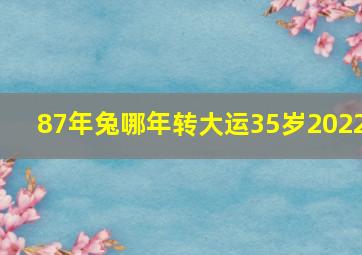 87年兔哪年转大运35岁2022