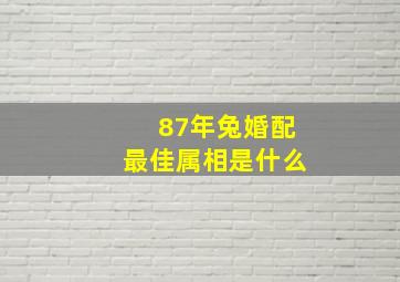 87年兔婚配最佳属相是什么