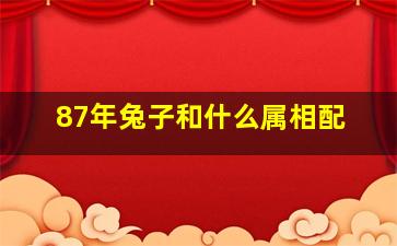 87年兔子和什么属相配