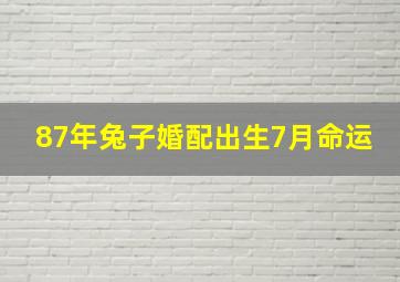 87年兔子婚配出生7月命运