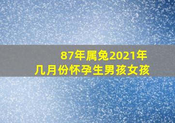 87年属兔2021年几月份怀孕生男孩女孩